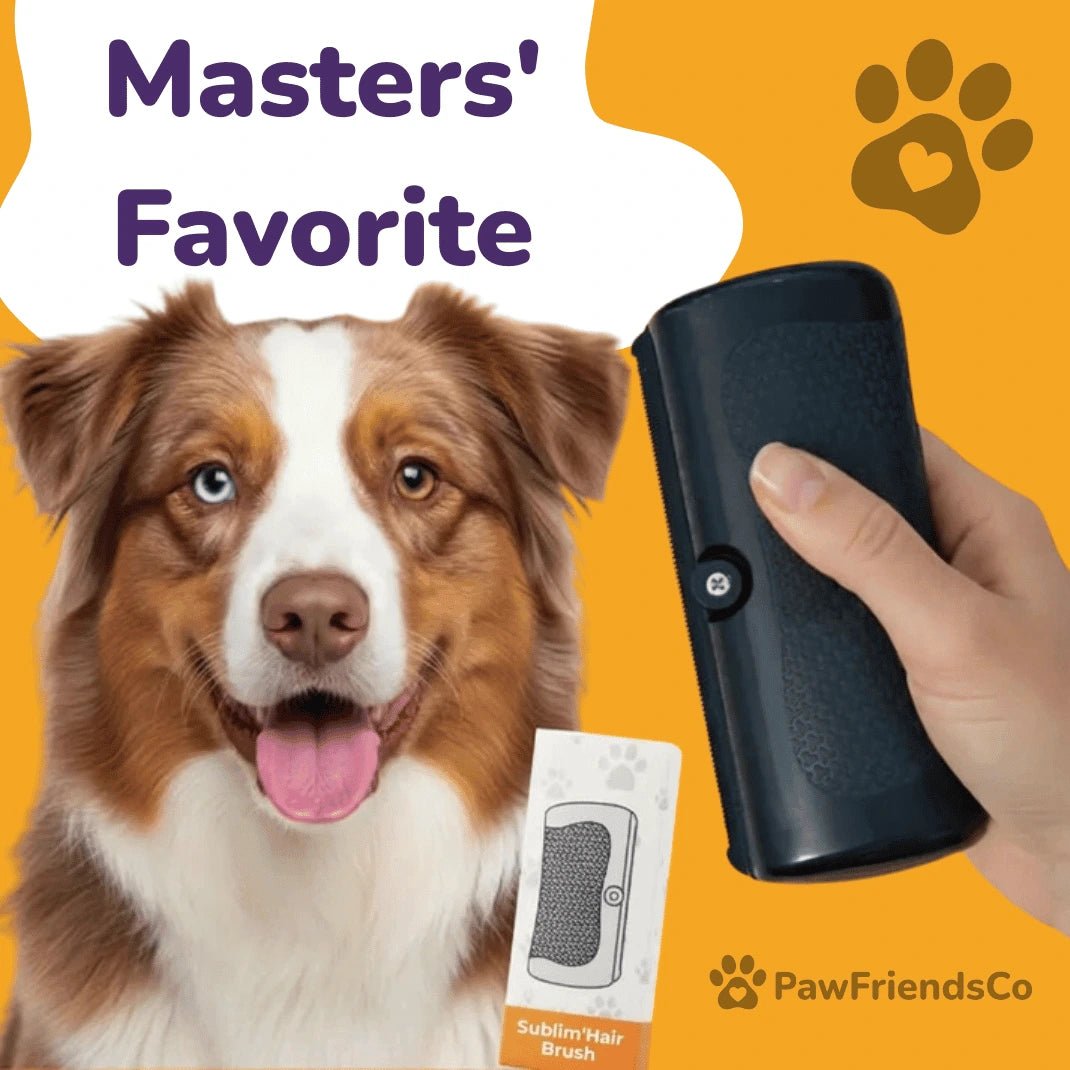 ClearCoat Brush - PawFriendsCo