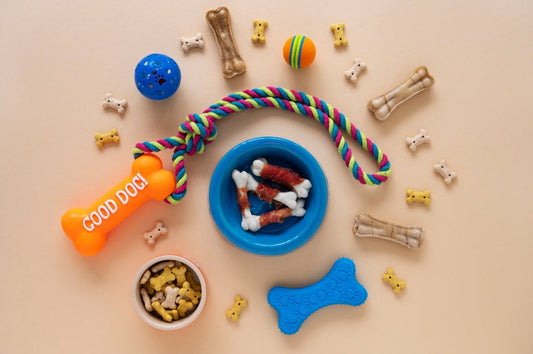 Why Interactive Toys Are Important for Dogs and Cats - PawFriendsCo