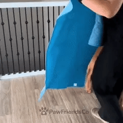 IceSilk™ Dog Cooling Mat