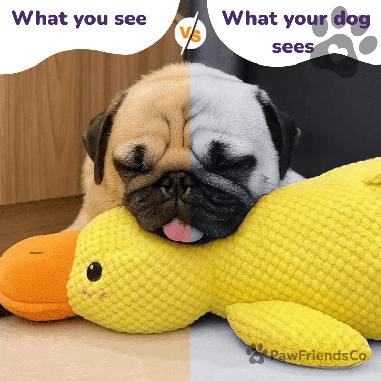 Anti - stress duck - PawFriendsCo