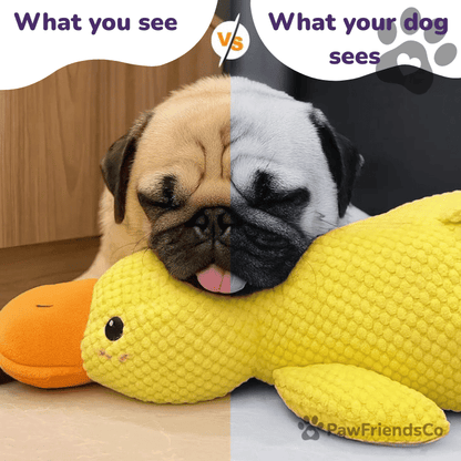 Anti - stress duck - PawFriendsCo