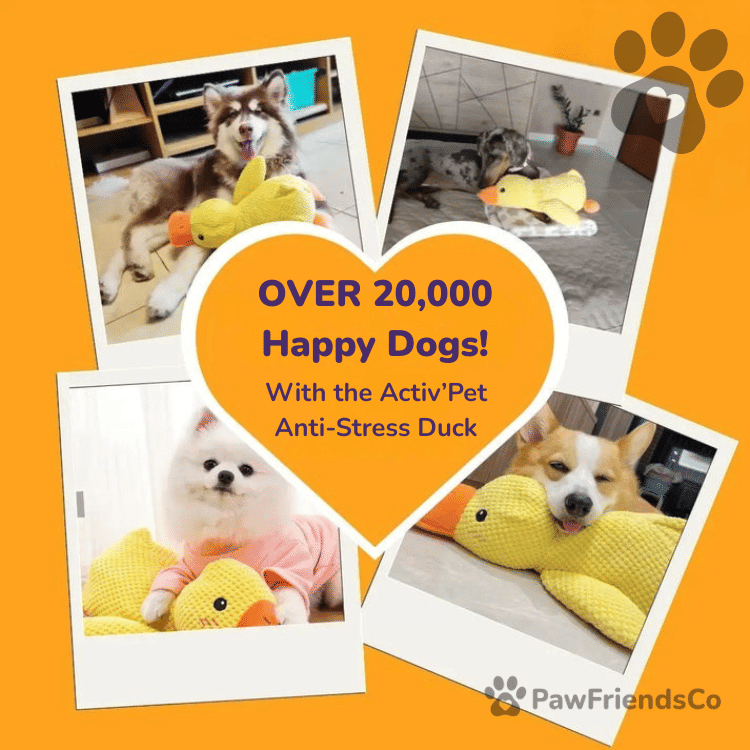 Anti - stress duck - PawFriendsCo