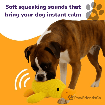 Anti - stress duck - PawFriendsCo