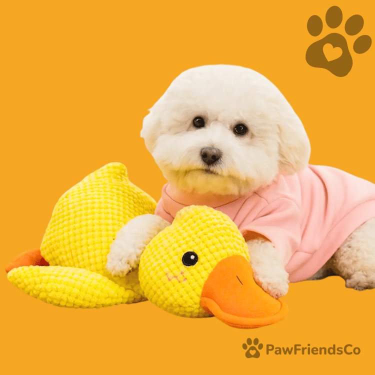 Anti - stress duck - PawFriendsCo
