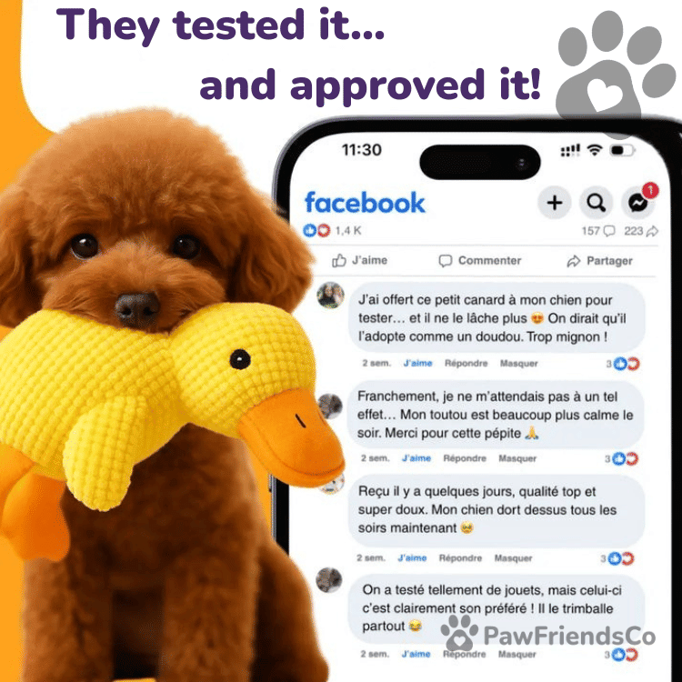 Anti - stress duck - PawFriendsCo