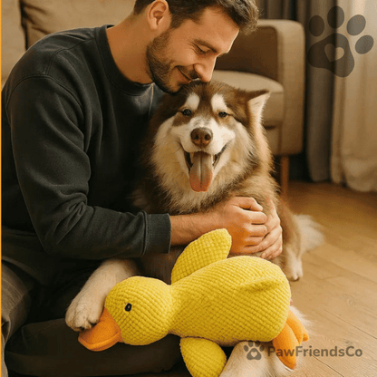 Anti - stress duck - PawFriendsCo