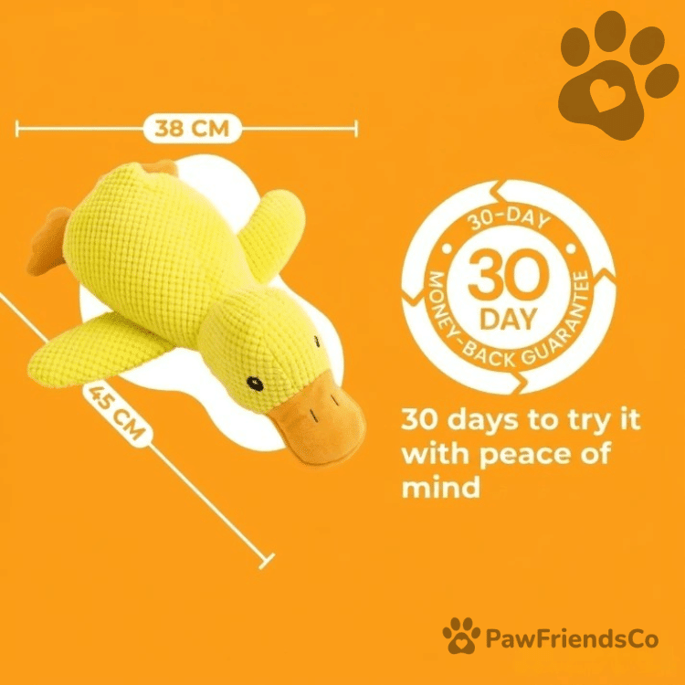 Anti - stress duck - PawFriendsCo