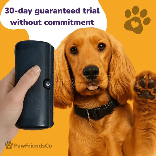 ClearCoat Brush - PawFriendsCo