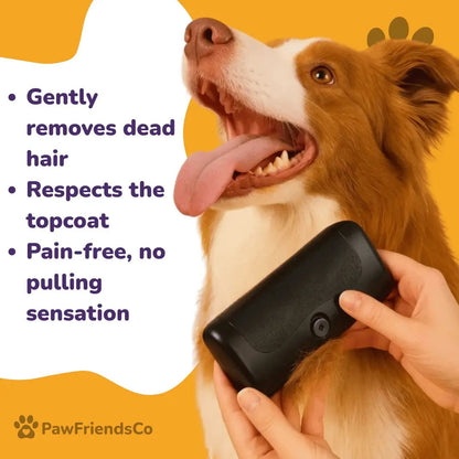 ClearCoat Brush - PawFriendsCo