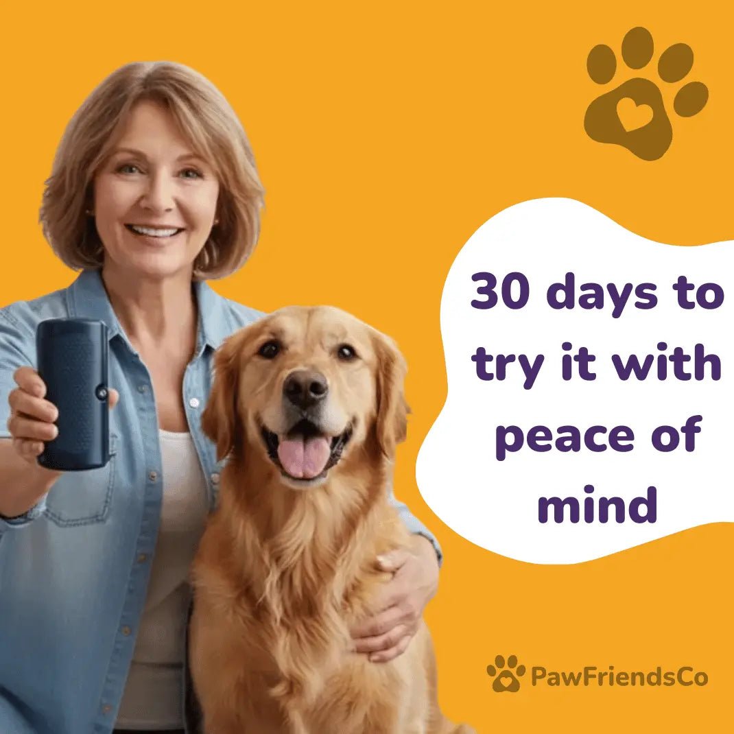 ClearCoat Brush - PawFriendsCo