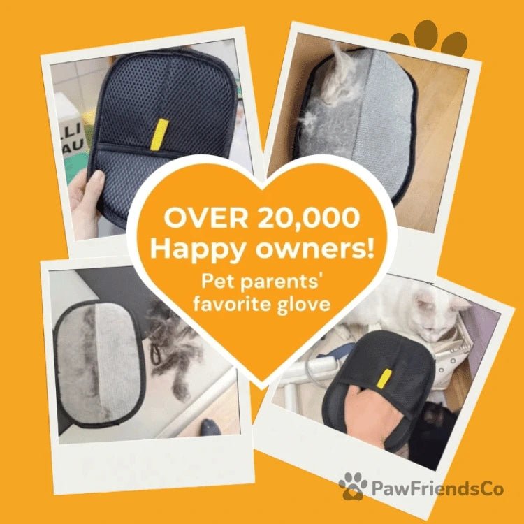 Fursweep Hair - catching glove - PawFriendsCo
