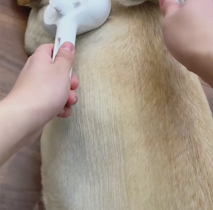 MistBrush in action 1