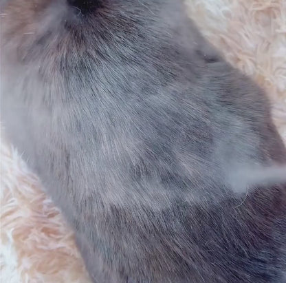 MistBrush in action 3