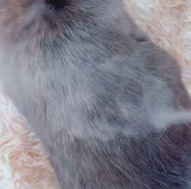 MistBrush in action 3