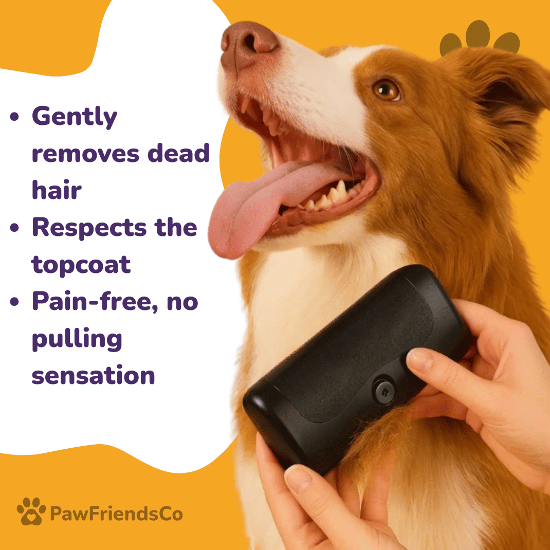 Sublim'Poils PawFriendsCo Brush - PawFriendsCo